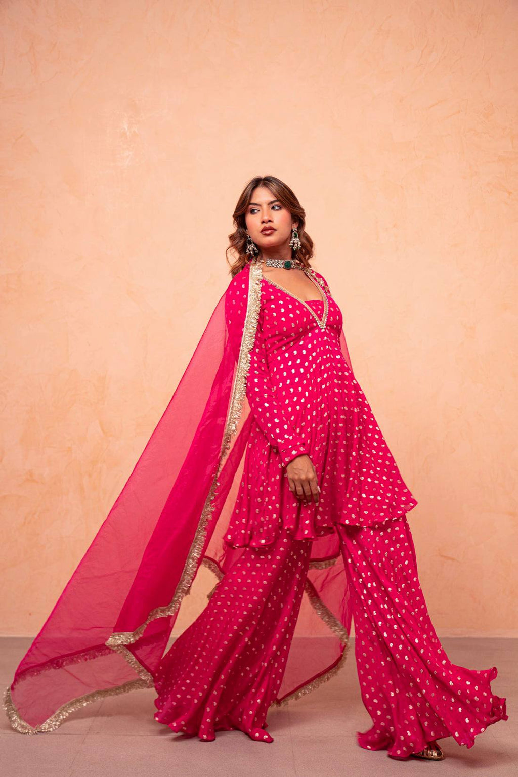 Elegant Sharara Set for every Occasions