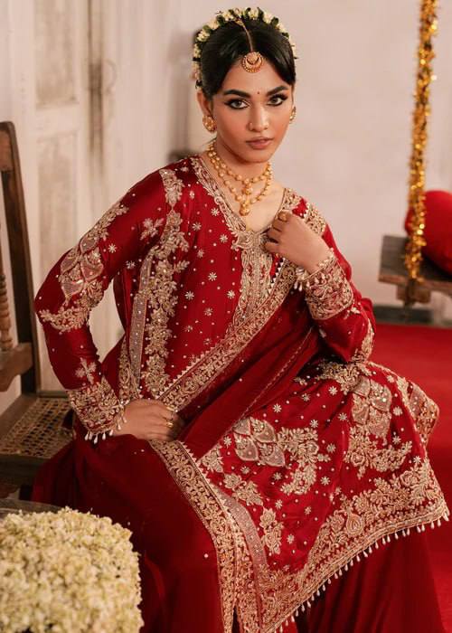 Elegant Festive Wear For Women